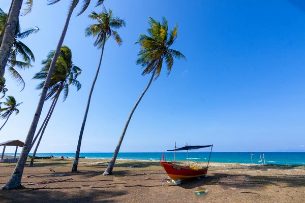 Welche umweltfreundlichen Transportmittel sind fÃ¼r De-Tourismus-Reisen geeignet?